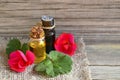 Geranium essential oil in a glass bottle with flowers and leaves of the geraniums plant on wooden table. Royalty Free Stock Photo