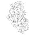 Geranium flower doodle art, Geranium pelargonium bouquet drawings, tattoo geranium flower drawing, line art geranium flower Royalty Free Stock Photo