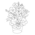 Geranium flower drawing hand draw flower vase illustration, vector sketch, pencil art, a bouquet of floral coloring page, Royalty Free Stock Photo