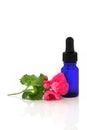 Geranium Flower Essence