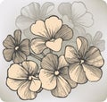 Geranium flower, hand-drawing. Vector illustration