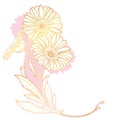 Vector corner bouquet of outline Gerbera or Gerber flower and leaf in pastel pink and gold isolated on white background. Royalty Free Stock Photo