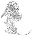 Vector corner bouquet with outline Gerbera or Gerber flower and leaf in black isolated on white background. Royalty Free Stock Photo