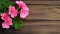 Geranium Pelargonium Flower on Wood Background with Copy Space