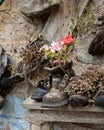 Geranium plants with flowers growing in old boot, garden recycling concept Royalty Free Stock Photo