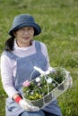 Geranium, seedling, gardening image, planting of flower seedling