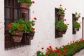 geraniums in courtyard Royalty Free Stock Photo