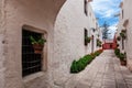 geraniums in the courtyard of old convent Royalty Free Stock Photo