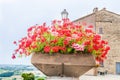 Geraniums pot and countryside of Romagna in Italy