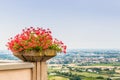 Geraniums pot and countryside of Romagna in Italy