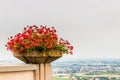 Geraniums pot and countryside of Romagna in Italy