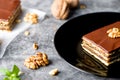 Gerbeaud Cake. Zserbo . Traditional Hungarian multi-layer cake Royalty Free Stock Photo