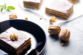 Gerbeaud Cake. Zserbo . Traditional Hungarian multi-layer cake Royalty Free Stock Photo