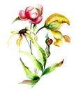 Gerber, Tulip and Peony flower