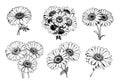 Gerbera bouquet sketch hand drawn in comic style.Vector illustration Garden flowers Royalty Free Stock Photo