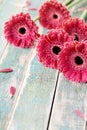 Gerbera daisy bouquet for mother or womans day. Beautiful flower background. Vintage style.