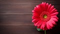 Gerbera Daisy Flower on Wood Background with Copy Space