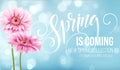 Gerbera Flower Background and Spring is coming Lettering. Royalty Free Stock Photo