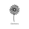 Gerbera flower. Doodle vector hand drawn line sketch. Floral illustration for coloring book Royalty Free Stock Photo