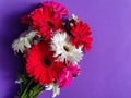 gerbera flower in a floral bouquet for gift of love and purple background