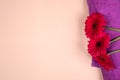 Gerbera flower on purple towel. Beauty care and spa concept Royalty Free Stock Photo