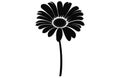 Gerbera flower silhouette. Floral vector background with daisy.Vector set of gerbera flowers with stems isolated on a white Royalty Free Stock Photo