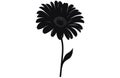 Gerbera flower silhouette. Floral vector background with daisy.Vector set of gerbera flowers with stems isolated on a white Royalty Free Stock Photo