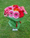 Gerbera flowers bouquet vase Royalty Free Stock Photo