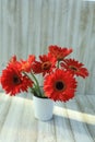 Gerbera flowers orange inside a white vase on white wooden background. Royalty Free Stock Photo