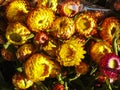 Gerbera flowers pattern on the market Royalty Free Stock Photo