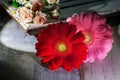 Gerbera Flowers