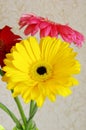 Gerbera flowers in transparent vase view from above