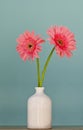 Gerbera flowers in vase Royalty Free Stock Photo