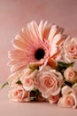 Gerbera fresh flower and roses over pink background. Abstract floral wallpaper, copy space