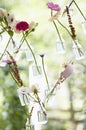 Gerbera, glass, bottle, window hanging Royalty Free Stock Photo