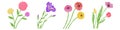 Gerbera, iris, tulip and chrysanthemum flowers set. Hand drawn floral vector illustrations. Pen or marker sketch. Hand Royalty Free Stock Photo