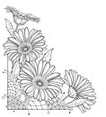 Vector corner bouquet with outline Gerbera or Gerber flower in black isolated on white background. Bunch of contour Gerbera. Royalty Free Stock Photo