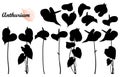 Vector set with silhouette of tropical plant Anthurium or Anturium flower bunch and leaves in black isolated on white background. Royalty Free Stock Photo
