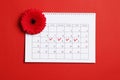 Gerbera, menstrual calendar on a red background. Ovulation concept.