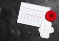 Gerbera, menstrual calendar and tampons on a dark background. Ovulation concept. Royalty Free Stock Photo