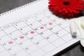 Gerbera, menstrual calendar and tampons on a dark background. Ovulation concept. Royalty Free Stock Photo