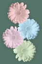 Gerbera pastel pink, blue and green shades on a muted green background, collage.