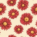 Gerbera pattern