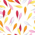 Gerbera petals seamless pattern.