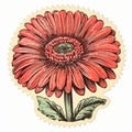 Gerbera Rcv Floral Stickers - Pink - Thomas Nast - Emila Medkov - Ed Piskor