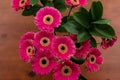 GerberaÃ¢â¬â¢s bouquet