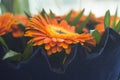 Gerberas bouquet