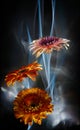 Gerberas orange and gerbera pink-white on a multicolored background