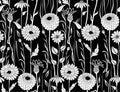 Gerberas and other wild flowers. Seamless black and white background Royalty Free Stock Photo