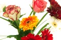 Gerberas and roses, flowers